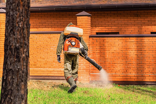 Bed Bug Clearance Verification and Documentation in Fabens